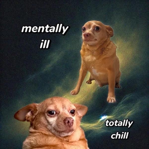 mentally ill totally chill