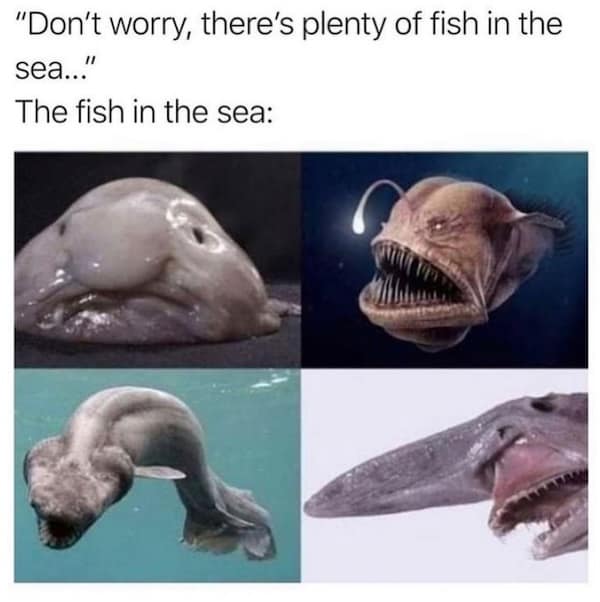 "Don't worry, there's plenty of fish in the sea..." The fish in the sea: