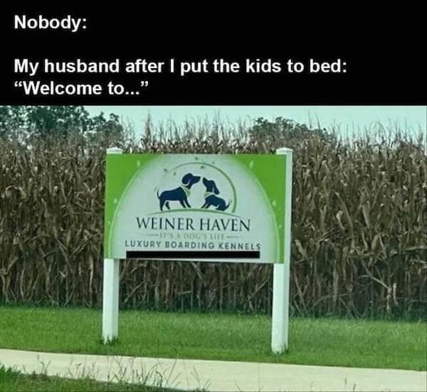 classic memes, vintage memes, viral tweets, throwback memes, best memes, old memes, legendary memes, timeless memes, classic meme dump, throwback meme dump, trending tweets, all time memes