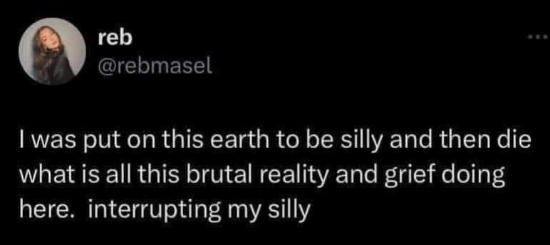 reb @rebmasel Iwas put on this earth to be silly and then die what is all this brutal reality and grief doing here. interrupting my silly