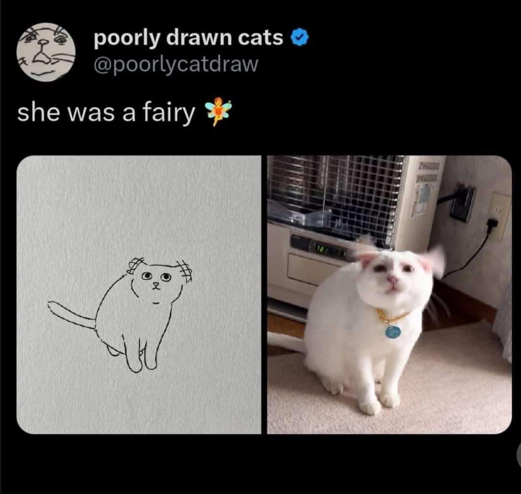 classic memes, vintage memes, viral tweets, timeless memes, evergreen memes, legendary memes, throwback internet memes, retro internet jokes, nostalgic online gags, viral humor, trending humor, internet comedy, nostalgic social media humor, vintage social media jokes, old-school social posts, old memes, best memes
