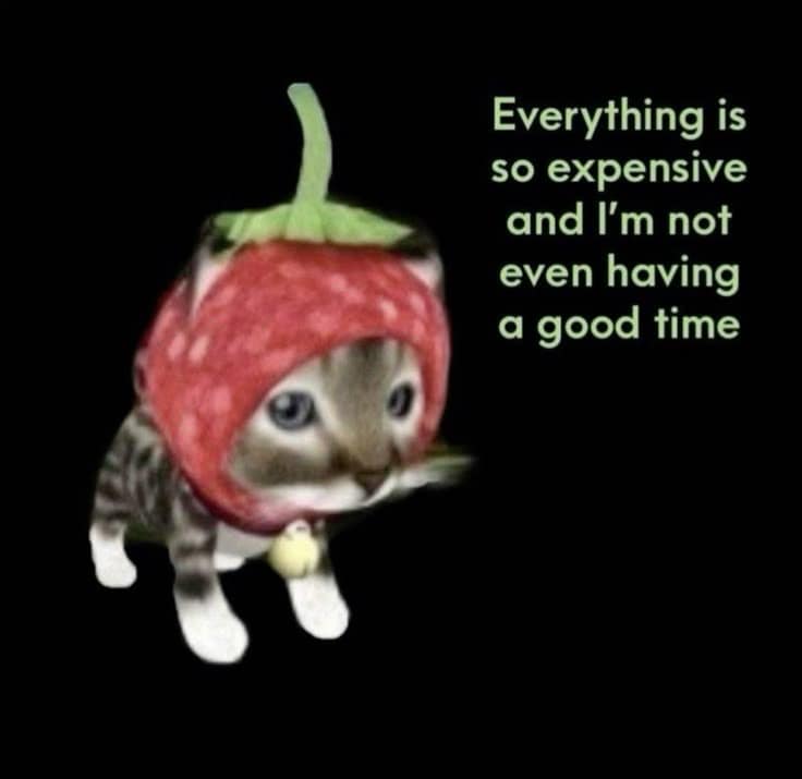 Everything is so expensive and I'm not even having a good time
