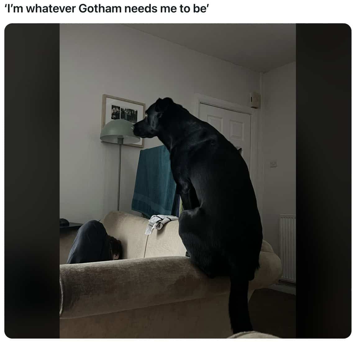 funny reddit posts, comedic Reddit threads, hilarious forum entries, amusing posts, internet humor, online comedic content, social web jokes, digital laughs, short funny stories, comedic anecdotes, humorous everyday tales, random comedic lines