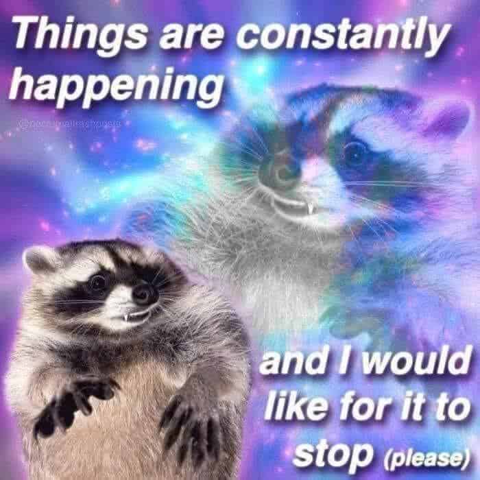 grumpy animal memes, animal memes, moody animal memes, irritated pet memes, annoyed animal memes, animal humor, funny animal pics, hilarious pet memes, wildlife memes, sarcastic memes, cynical animal memes, relatable pet humor, pet frustration memes, funny animal memes