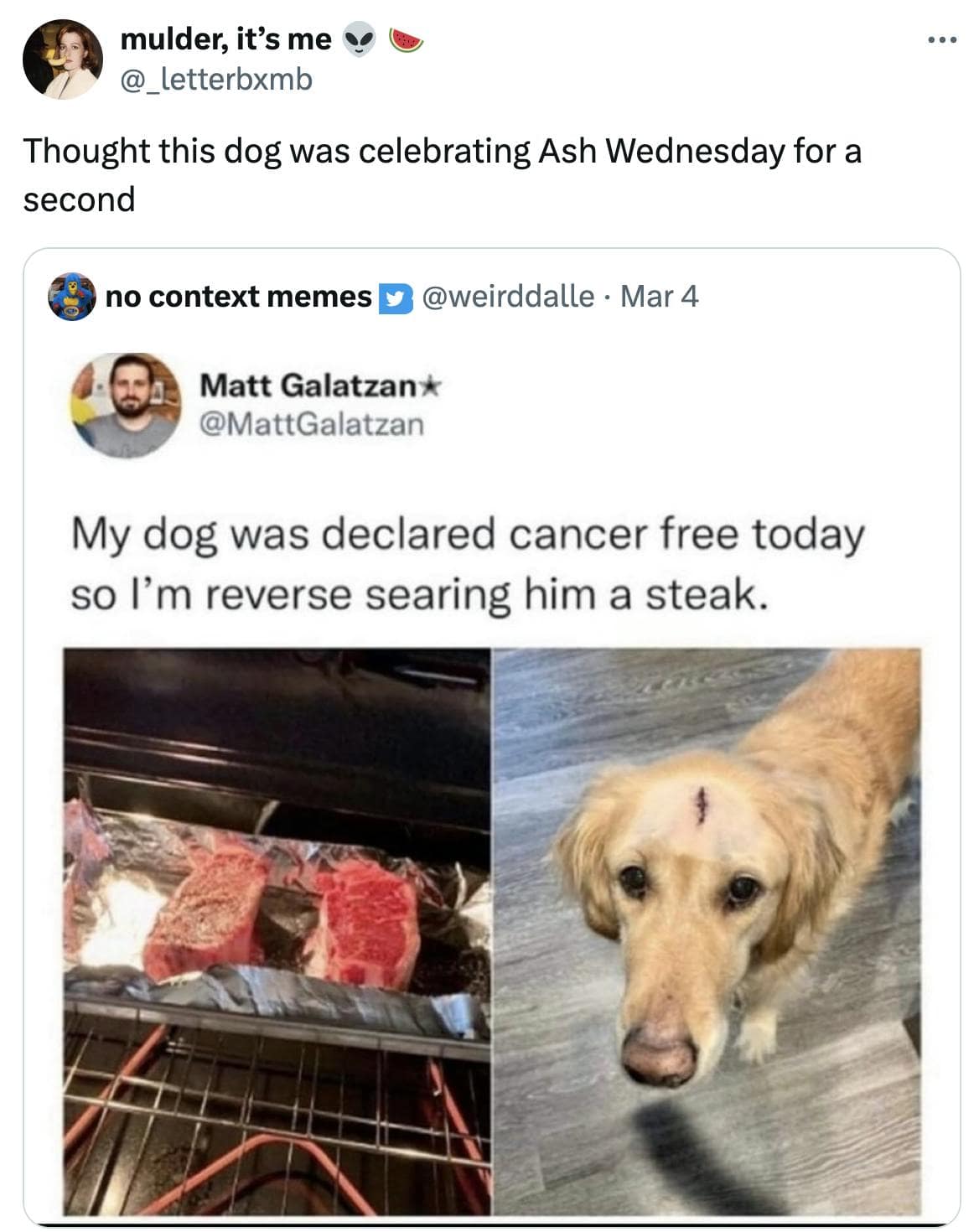 lent memes, funny lent memes, ash wednesday memes, fasting memes, lenten jokes, religious humor, comical lent quips, lighthearted Lenten references, soot day jokes, ash cross humor, catholic memes, churchy chuckles, faith-based quips