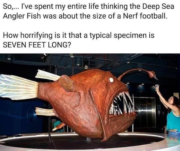 meme dump, funny memes, hilarious memes, daily memes, meme collection meme gallery, trending memes, memes funny, dank memes, dank meme dump, today's best memes, fresh memes