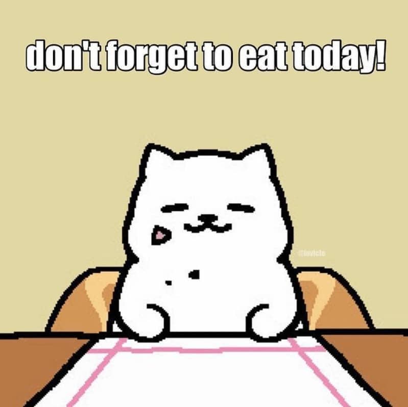 don't forget to eat today.