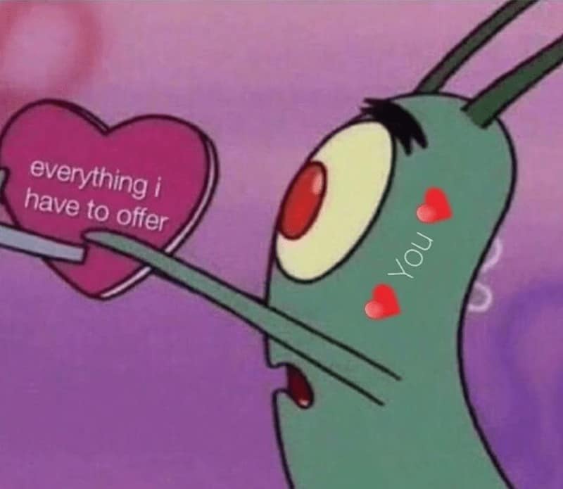 everything have to offer