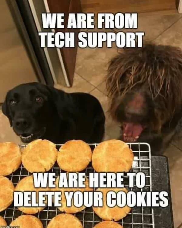 technology meme, tech memes, tech humor, digital jokes, computer humor, IT memes, help desk jokes, support gags, system fail laughs, glitchy wonders, software fiascos, hardware amusements