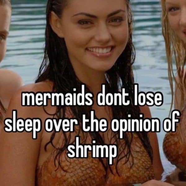 mermaids dont lose sleep over the opinion of shrimp