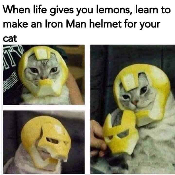 fruit memes, banana memes, apple memes, watermelon memes, fruity memes