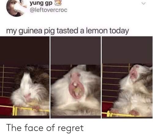 fruit memes, banana memes, apple memes, watermelon memes, fruity memes