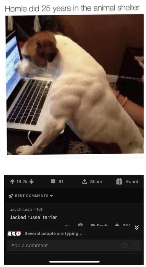 funny comments, hilarious comments, internet humor, witty replies, sarcastic comments, funny roasts, comment section gems, comedic comments, clever responses, hilarious clapbacks, funny internet, online laughs