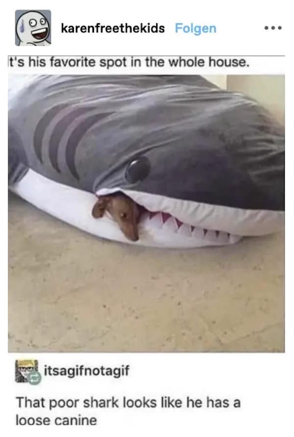 funny comments, hilarious comments, internet humor, witty replies, sarcastic comments, funny roasts, comment section gems, comedic comments, clever responses, hilarious clapbacks, funny internet, online laughs