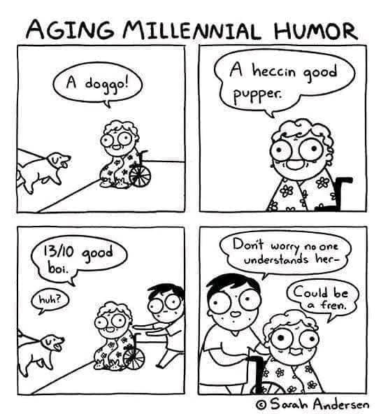 AGING MILLENNIAL HUMOR A doggo! A heccin good pupper. 13/10 good boi. huh? no one Dont estays here Could be