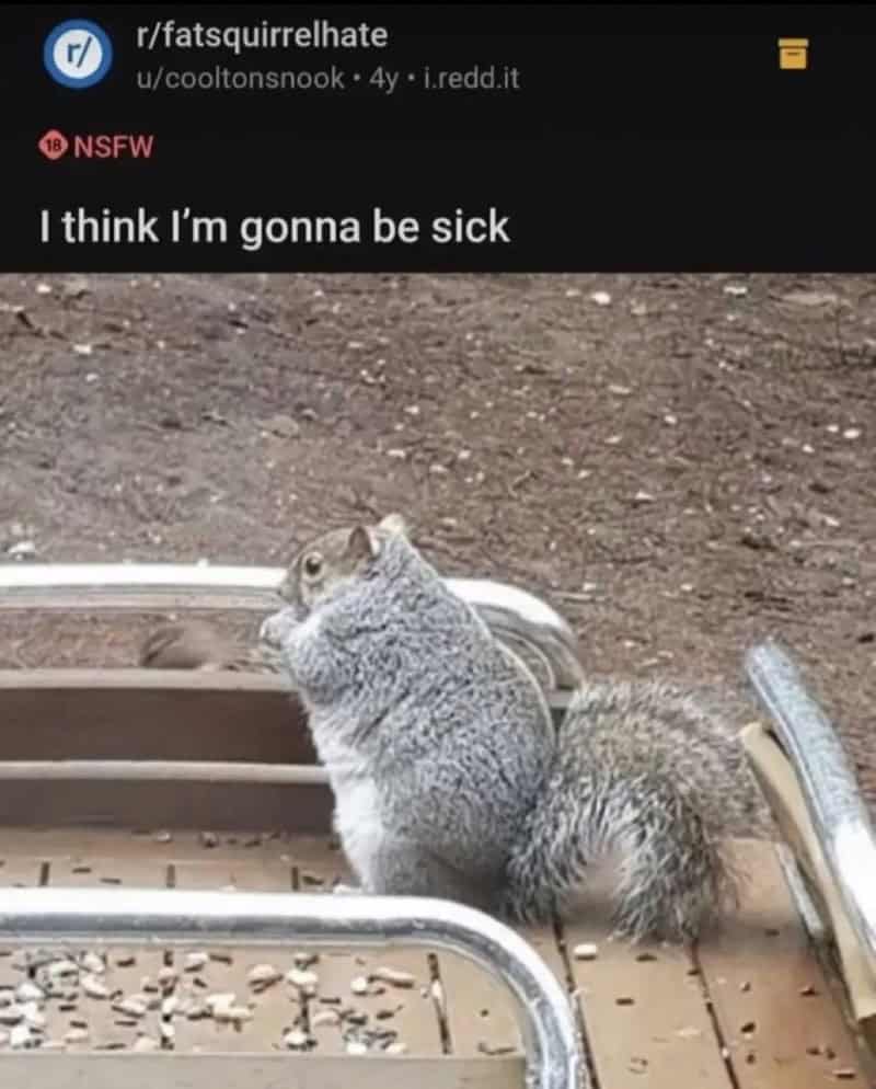 funny reddit posts, funny reddit, Reddit memes, Reddit jokes, Reddit humor, reddit comments, reddit threads, reddit laughs, reddit screenshots, viral Reddit posts, popular Reddit posts, trending Reddit, funny subreddits, social media memes, internet jokes, online humor, comment memes