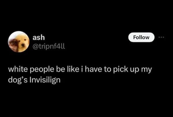 ash @tripnf4ll Follow white people be like i have to pick up my dog's Invisilign