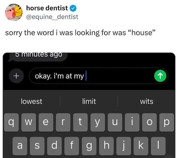 meme dump, funny memes, hilarious memes, meme collection, funny meme gallery, humor memes, funny work memes, lunch break memes, hilarious daily memes, office humor memes, midday meme relief, amusing daily pictures, dank memes, dank meme dump, memes funny, internet meme