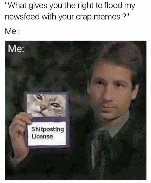 meme dump, funny memes, hilarious memes, meme collection, funny meme gallery, humor memes, funny work memes, lunch break memes, hilarious daily memes, office humor memes, midday meme relief, amusing daily pictures, dank memes, dank meme dump, memes funny, internet meme