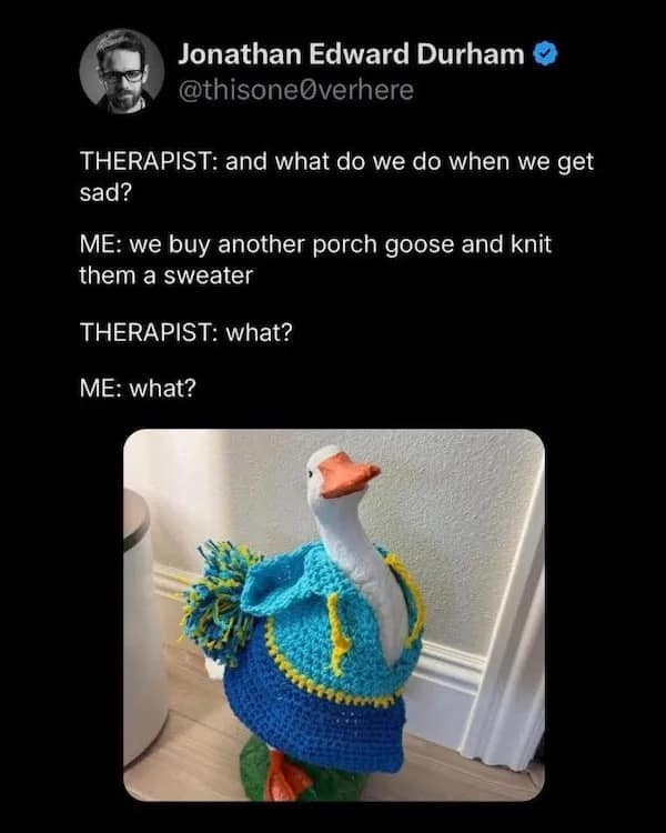Jonathan Edward Durham O @thisoneOverhere THERAPIST: and what do we do when we get sad? ME: we buy another porch goose and knit them a sweater THERAPIST: what? ME: what?