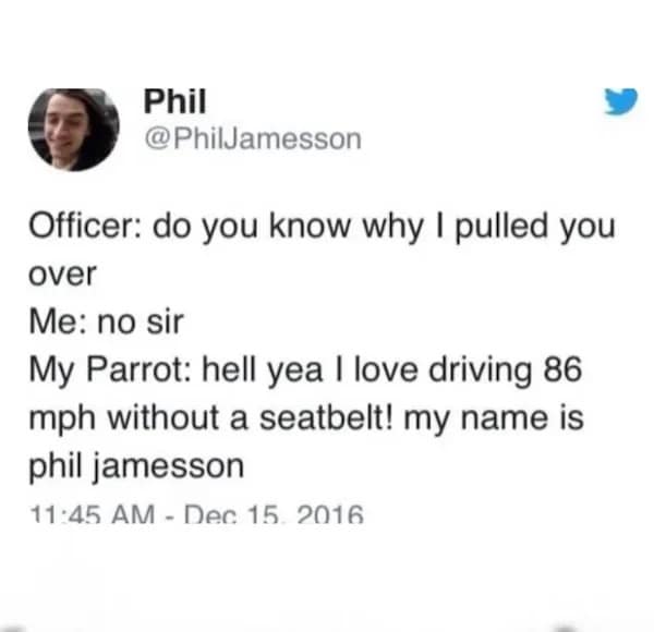 Phil @PhilJamesson Officer: do you know why I pulled you over Me: no sir My Parrot: hell yea I love driving 86 mph without a seatbelt! my name is phil jamesson 11:45 AM - Dec 15. 2016
