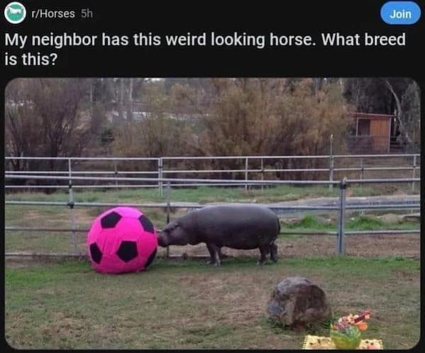 meme dump, funny memes, hilarious memes, viral memes, trending memes, dank memes, dank meme dump, internet meme, memes funny, fresh memes, meme gallery, meme collection