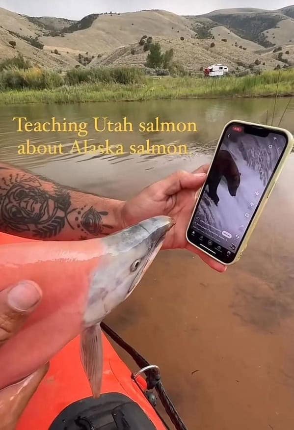 Teaching Utah salmon about Alaska salmon