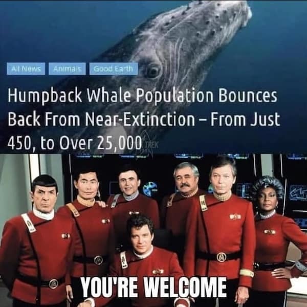 nerd memes, geeky memes, geek memes, gaming memes, sci‑fi jokes, nerdy memes, fantasy memes, gamer memes