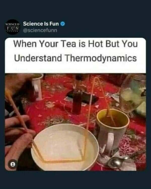 science memes, math memes, STEM memes, lab memes, geek jokes, nerd memes, academic humor, scholar laughs, calculus jokes, algebra humor, geek memes, techie laughs, nerdy funnies
