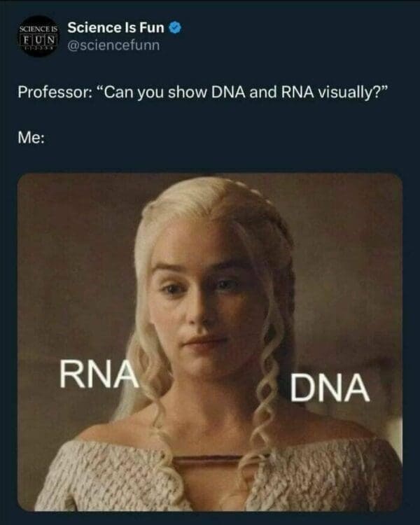 science memes, math memes, STEM memes, lab memes, geek jokes, nerd memes, academic humor, scholar laughs, calculus jokes, algebra humor, geek memes, techie laughs, nerdy funnies
