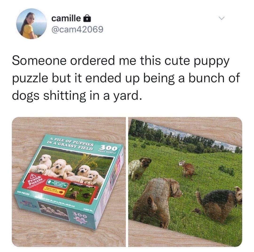 classic memes, vintage memes, viral tweets, old memes, viral memes, best memes, retro memes, timeless memes, evergreen memes, iconic memes, meme classics, nostalgic memes, meme history, throwback memes, legendary memes, meme archive, internet classics, old-school memes, meme nostalgia, vintage internet jokes, classic internet culture