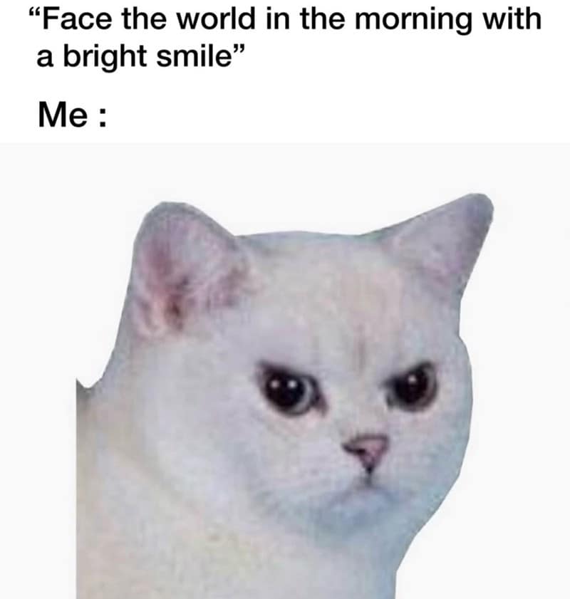 introvert memes, social anxiety memes, funny introvert memes, antisocial memes, shy memes, quiet person memes, introvert jokes, socially awkward memes, stay home memes, alone time memes, crowd anxiety memes, funny isolation memes, introvert life memes, solitude memes, no small talk memes, people avoiding memes, low battery social memes, introvert humor, indoor memes, silent laugh memes
