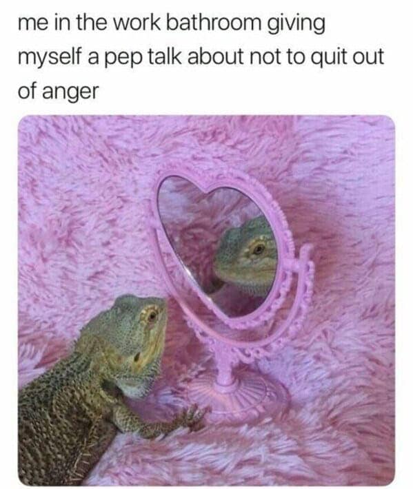 work memes, funny work memes, office memes, boss memes, work jokes, workplace humor, office jokes, midweek memes, funny work tweets, work tweets
