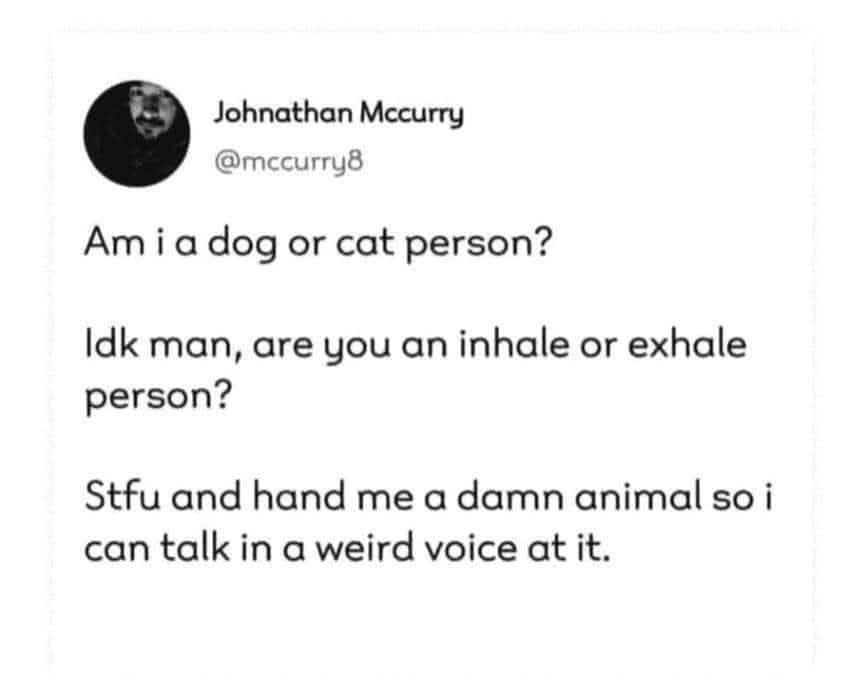 Am i a dog or cat person? Idk man, are you an inhale or exhale person? Stfu and hand me a damn animal so i can talk in a weird voice at it.