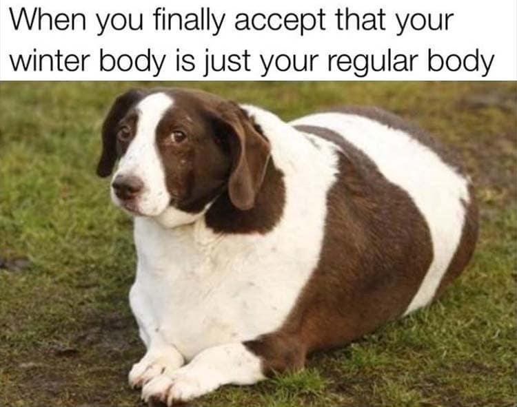 When you finally accept that your winter body is just your regular body