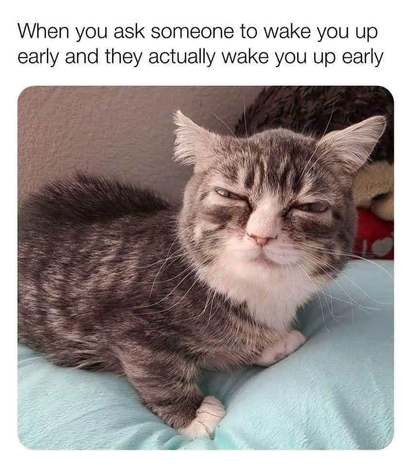 classic memes, vintage memes, viral tweets, evergreen memes, throwback memes, old memes, best memes, retro memes, internet classics, reaction memes, nostalgia memes, meme archive, timeless humor, meme history, digital nostalgia, original memes, viral humor, relatable memes, group chat memes, meme culture, shareable memes, comedy classics, nostalgic humor