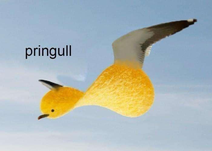 pringull