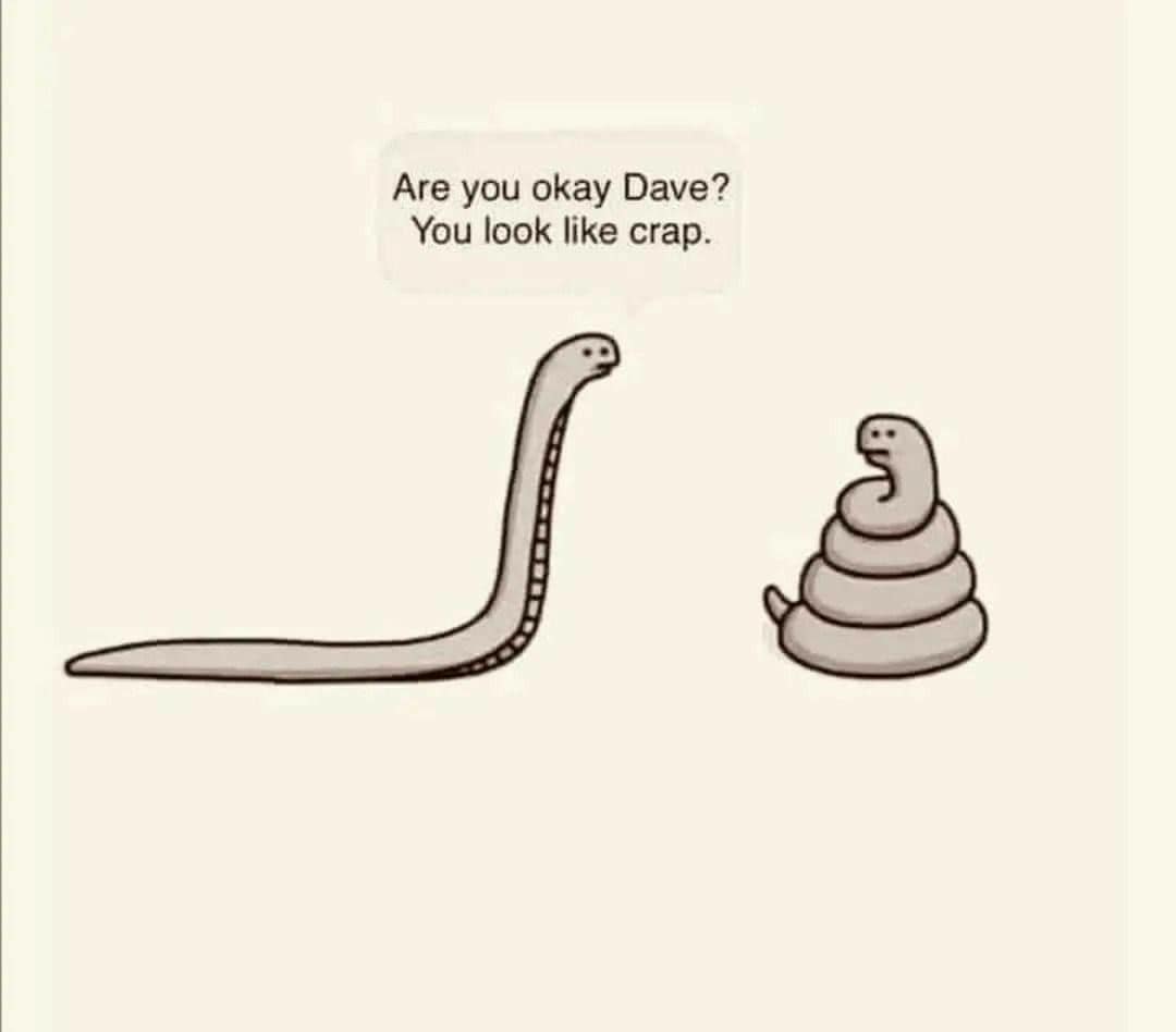 Are you okay Dave? You look like crap.