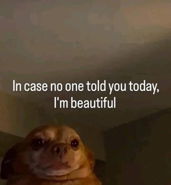 meme dump, funny memes, hilarious memes, viral memes, fresh memes, trending memes, relatable memes, daily memes, internet humor, meme collection, lunchtime memes, popular memes, laugh out loud, meme therapy, instant laughs, dank memes, dank meme dump
