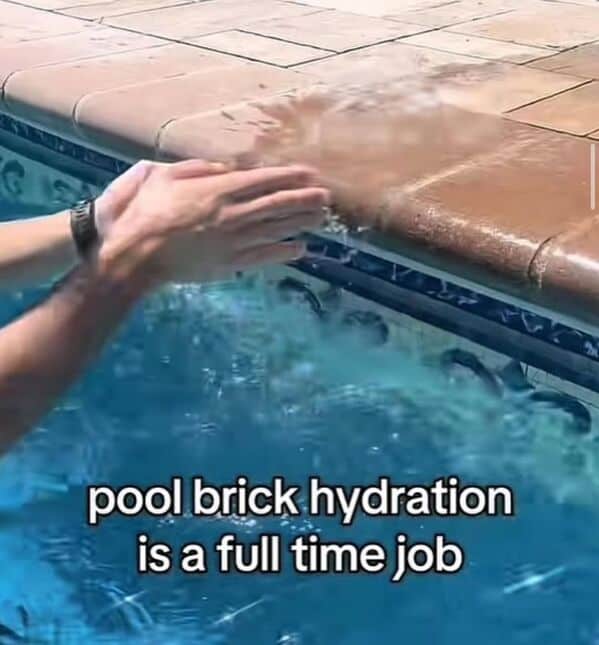 meme dump, funny memes, hilarious memes, trending memes, dank memes, viral memes, office memes, work memes, reaction memes, snackable humor, break-time memes, digital comedy, lunchtime laughs, internet memes, shareable memes, comic relief, midday pick-me-up, group chat memes, viral humor, quick punchlines, endless scroll memes, caffeine replacement memes, internet memes, dank meme dump