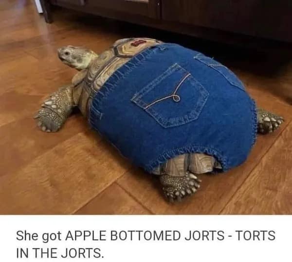 meme dump, funny memes, hilarious memes, trending memes, viral memes, office memes, lunch memes, break-time memes, humor memes, internet memes, dank memes, laugh memes, meme collection, daily memes, dank meme dump, internet meme, memes funny
