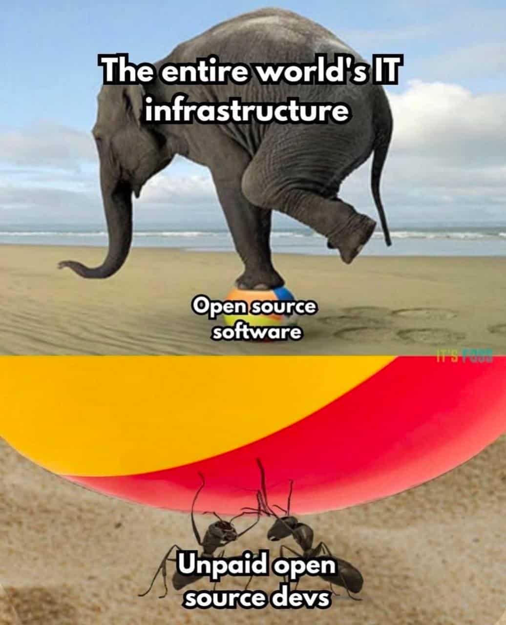 programming memes, programmer memes, coder memes, software developer memes, bug memes, debug memes, code humor, DevOps memes, API memes, Git memes, coding jokes, developer memes, stack overflow memes, merge conflict memes, terminal memes, compiler memes, script memes, code review memes, IDE memes, keyboard jockey memes