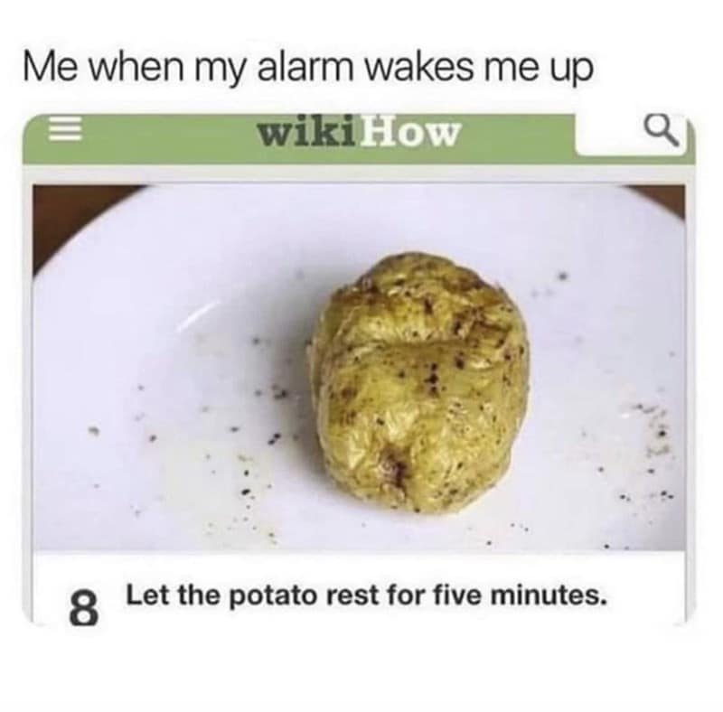 sleeping meme, sleep memes, sleepy memes, tired memes, nap memes, yawn memes, tired humor, drowsy memes, bedtime memes, couch nap memes, desk nap memes, animal sleeping memes, insomnia memes, dream memes, lazy day memes, weekend nap memes, bedtime routine memes, coffee vs sleep memes, afternoon slump memes, pillow memes