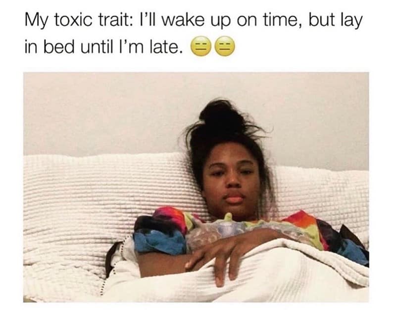 sleeping meme, sleep memes, sleepy memes, tired memes, nap memes, yawn memes, tired humor, drowsy memes, bedtime memes, couch nap memes, desk nap memes, animal sleeping memes, insomnia memes, dream memes, lazy day memes, weekend nap memes, bedtime routine memes, coffee vs sleep memes, afternoon slump memes, pillow memes