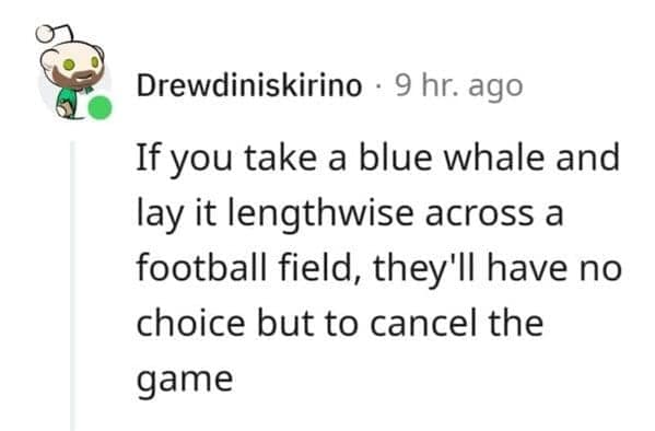 Blue whale joke about laying across a football field