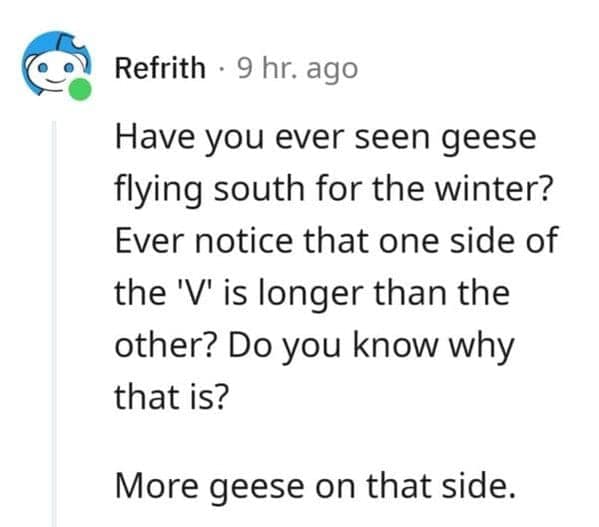 Geese flying in a V formation with a joke about why one side is longer