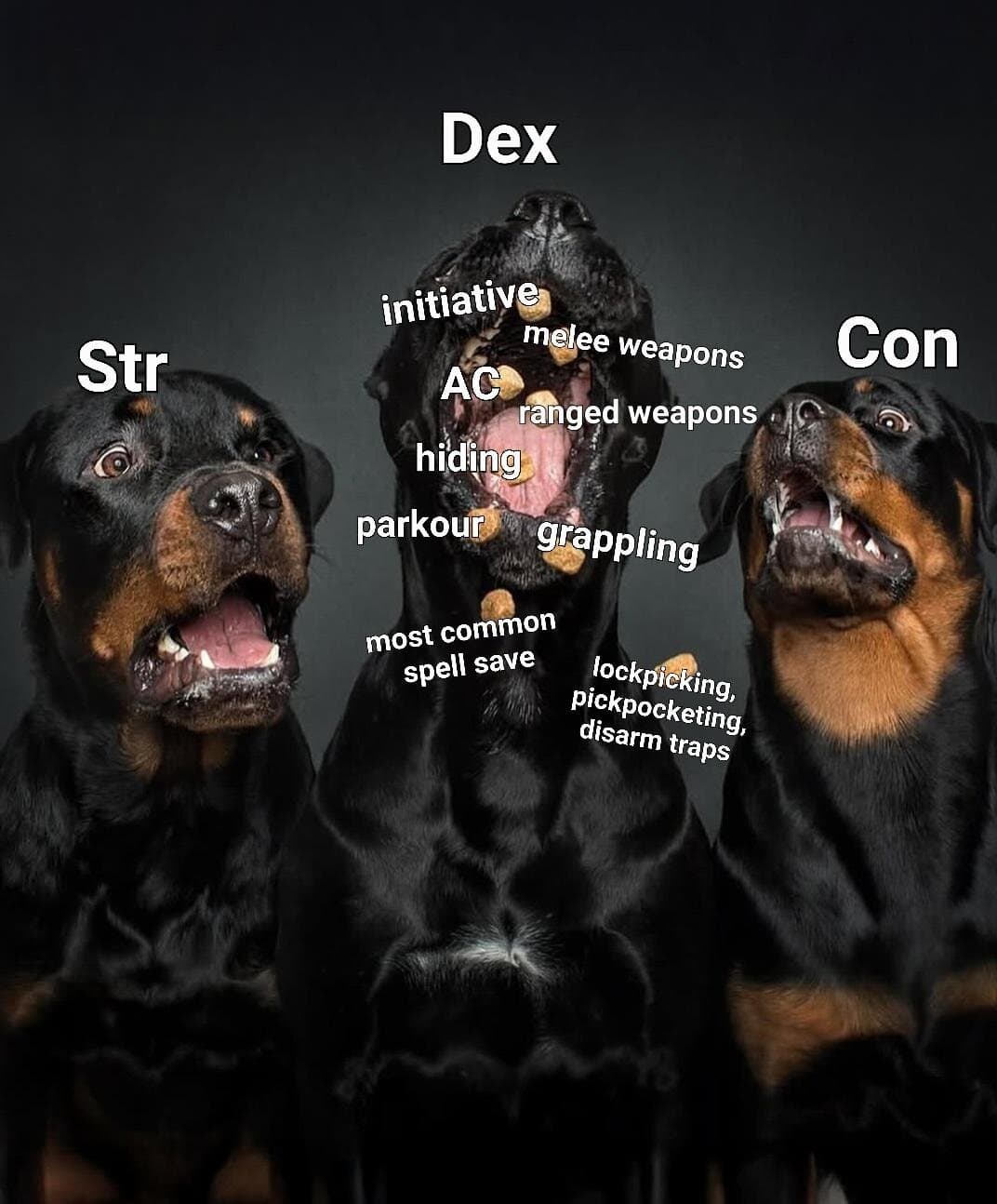 Three rottweilers labeled Str, Dex, Con with gameplay perks floating around each