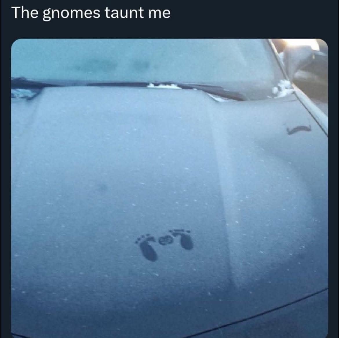 Frosted car hood with tiny barefoot prints captioned “The gnomes taunt me”