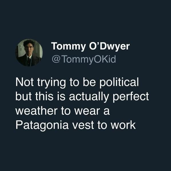 Tweet screenshot about perfect weather for wearing a Patagonia vest to work.