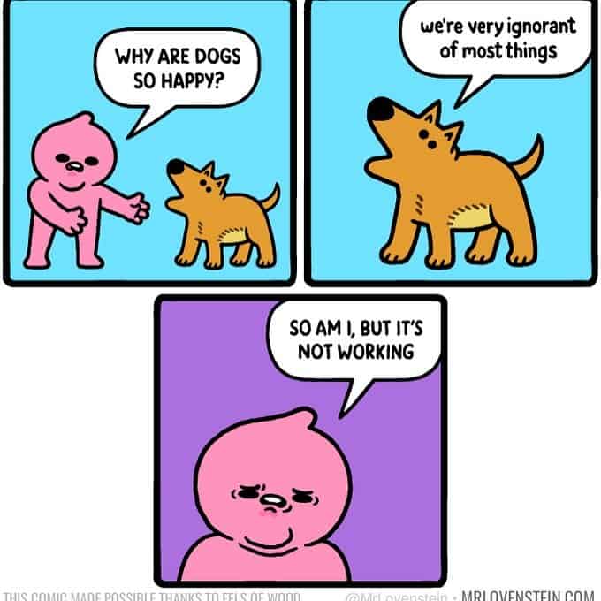 Character asks why dogs are so happy; dog says “we’re very ignorant,” reply: “so am I but it’s not working”—Mr Lovenstein comics.